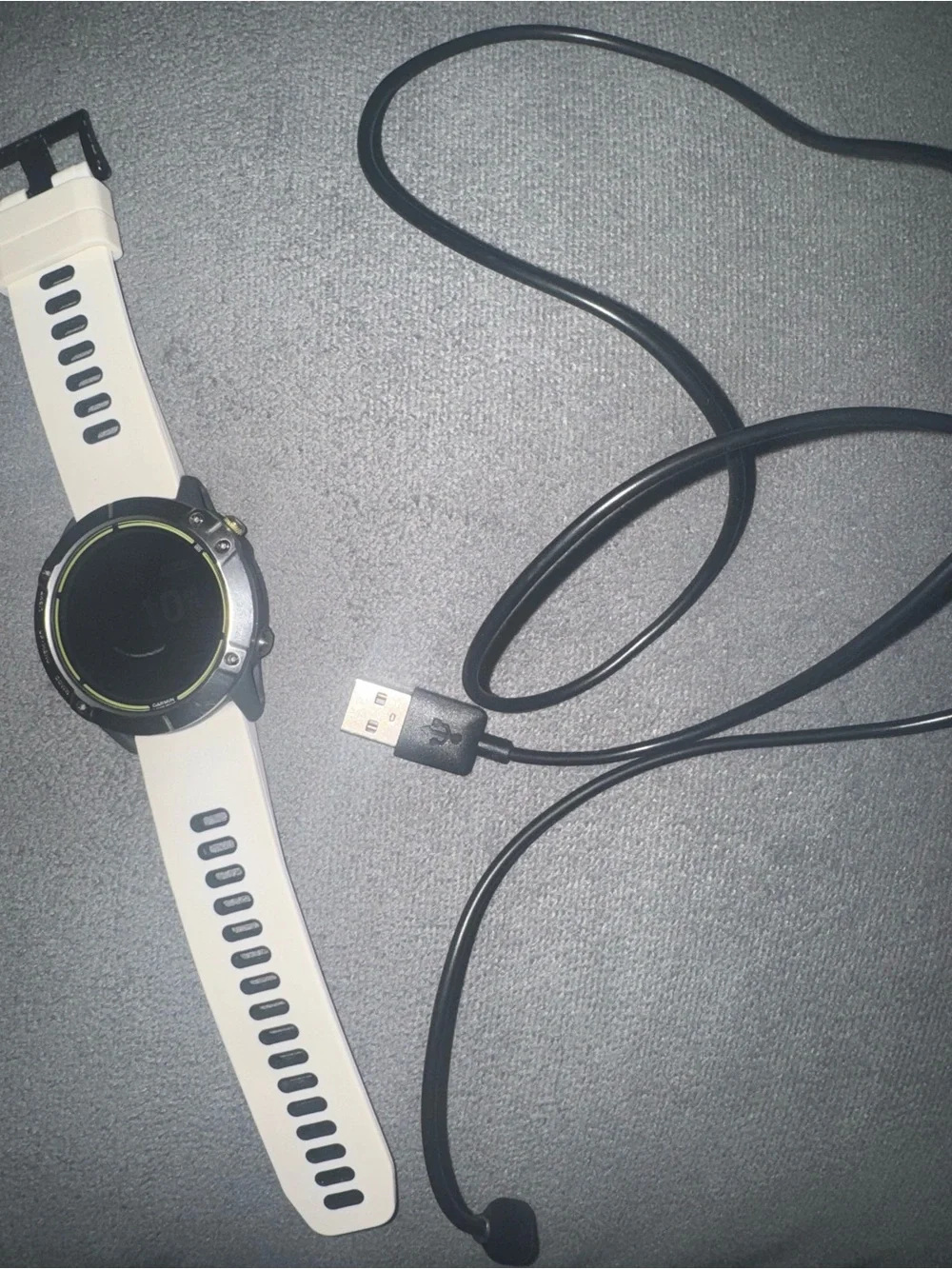 Garmin Enduro and Charger